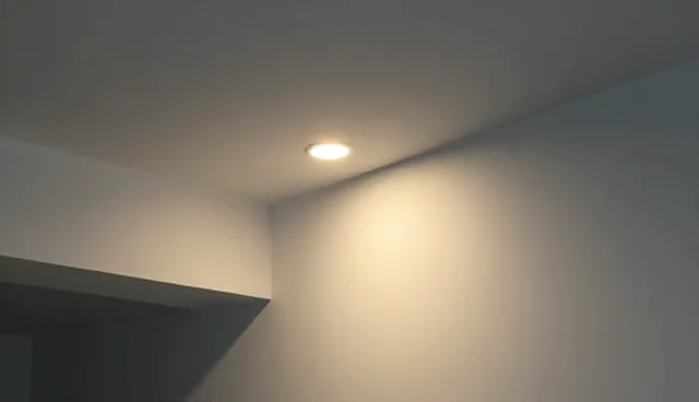 节点可查的检查要点与使用建议